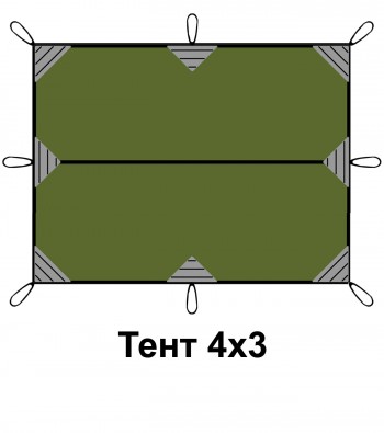  43 RSP